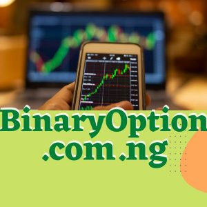 binaryoption.com.ng binary option ng nigerian domain marketplace