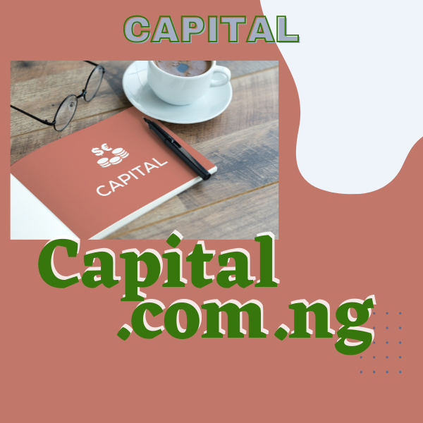 capital.com.ng business capital financing ng tld nigerian domain marketplace