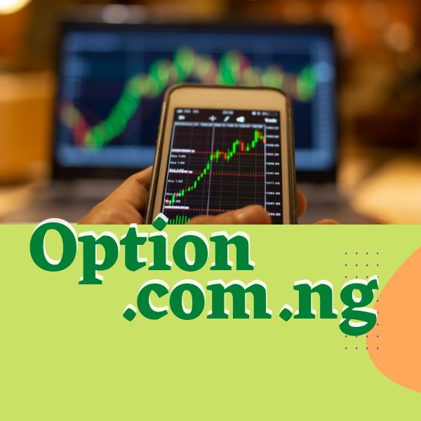 option.com.ng binary option ng nigerian domain marketplace